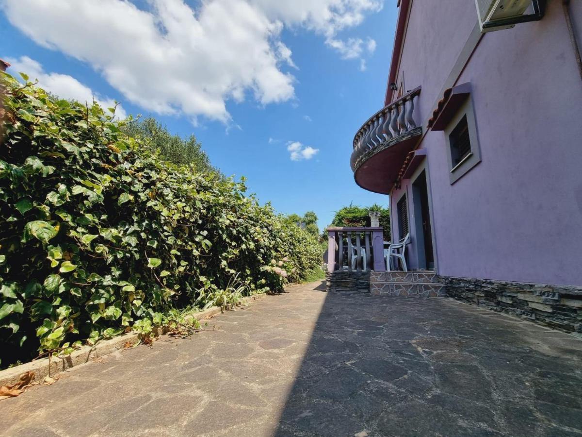 Apartmani Nika Bibinje Zewnętrze zdjęcie